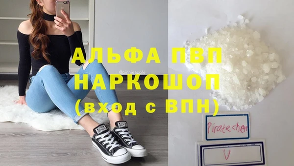 эйфоретик Новодвинск