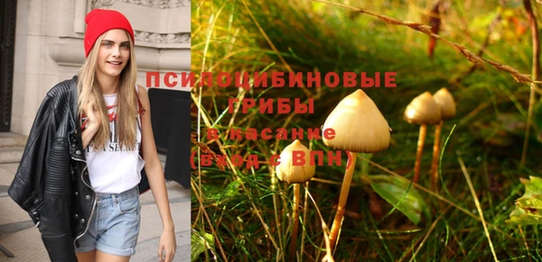 метадон Алексеевка