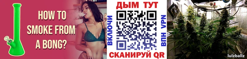 Канабис Bruce Banner  купить   Кириши 
